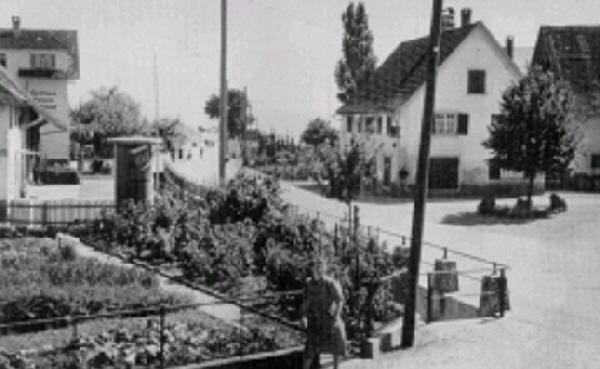 Bckerei Heger mit Hitlerlinde um 1940